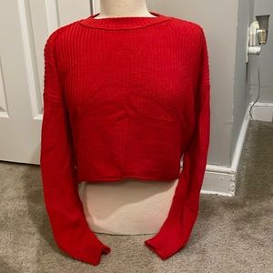 Wild Fable red cropped sweater